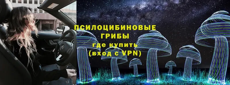 Галлюциногенные грибы Psilocybe  Мытищи 